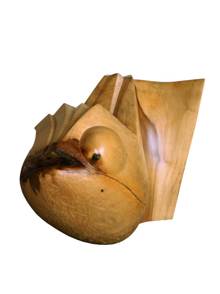 chimère, tulipier 40x28x26